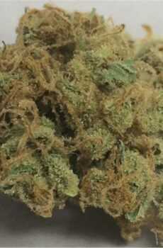 Congo cannabis